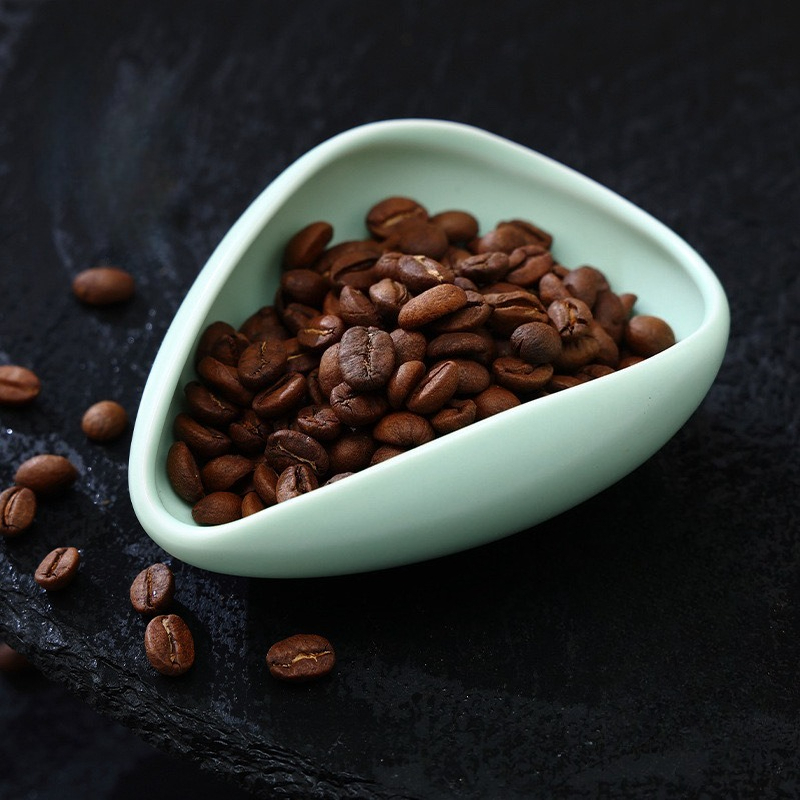طبق متعدد الألوان لحبوب القهوة - مراجعة Home Bar And Coffee وسعره